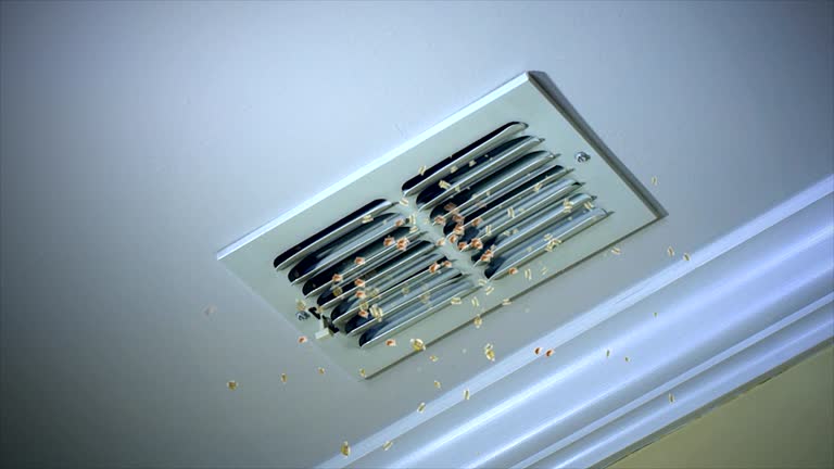 Air Duct Mold Removal in Garland, NC