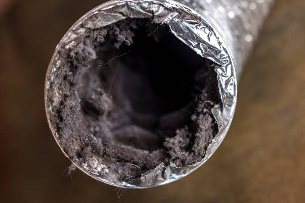 Best Air Duct Cleaning Near Me  in Garland, NC